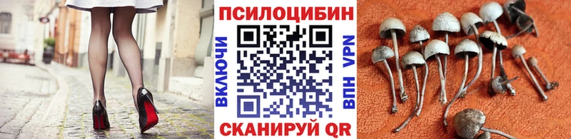 Галлюциногенные грибы мухоморы  Шумиха 
